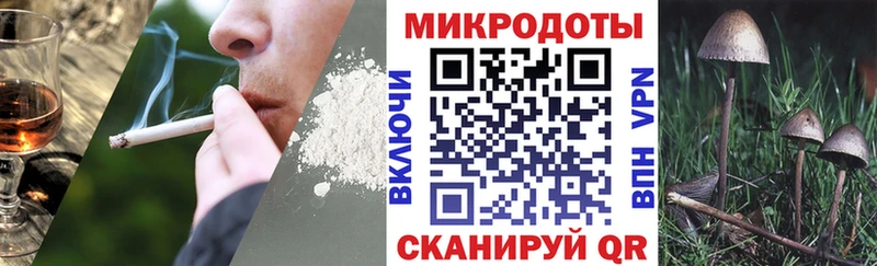купить   Ершов  OMG онион  Галлюциногенные грибы прущие грибы 